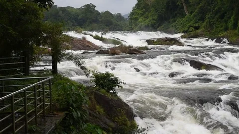 Vazhachal waterfall  스톡 동영상 83575856