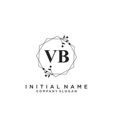 VB Initial handwriting logo design Stock Illustration