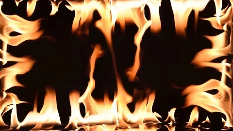 VDO 0387 4 Stock Footage 97093326