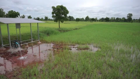 Vdo 4k of Solar cell water pump farm Station Stock Footage 249990302