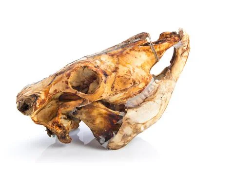 Veal skull Foto stock