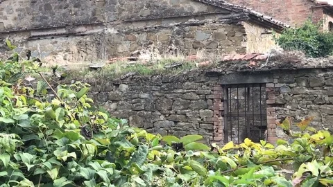 Vecchia casa Stock Footage 82462004