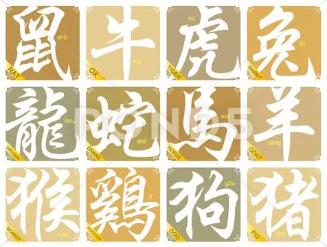 Vector 12 Chinese zodiac signs Stock Illustration