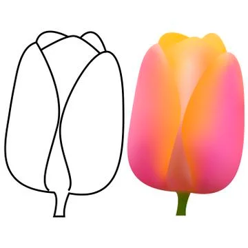 Vector - 3d and line illustration of a tulip. Gradient. Illustrazione stock