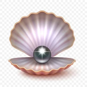 Vector 3d Black Pearl in Open Seashell with Shiny Gem for Jewelry Design. Luxury 스톡 일러스트