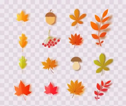 Vector 3d collection forest plants oak maple chestnut leaf. Stock Illustration