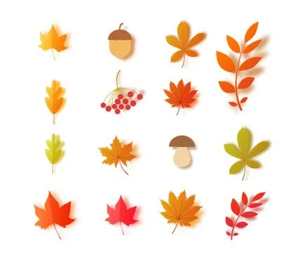 Vector 3d collection forest plants oak maple chestnut leaf. Stock Illustration