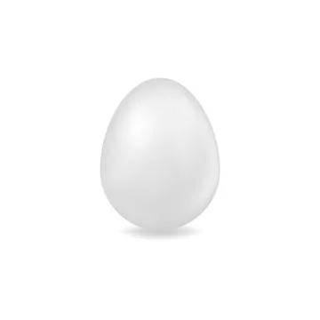 Vector 3D egg. Illustration of a white egg isolated with on a white backgroun Illustrazione stock