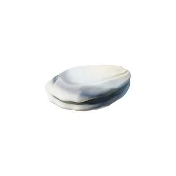 Vector 3d illustration of closed mussel or oyster, isolated background. Illustrazione stock