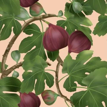Vector 3D illustration Common Fig Tree Seamless Pattern in Coral Background Stock Illustration