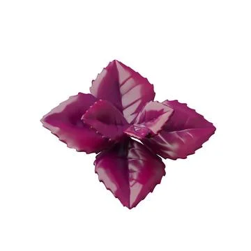Vector 3D illustration of red basil leaves on isolated background. Stock Illustration