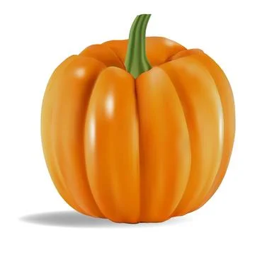 Vector 3d illustration of ripe pumpkin Stock Illustration