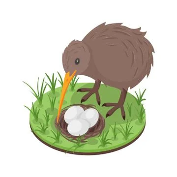 Vector 3d isometric illustration of kiwi bird near the nest Stock Illustration