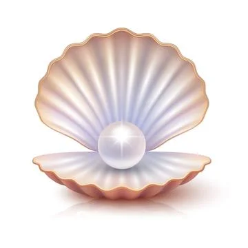 Vector 3d Pearl in Open Seashell. Realistic Oyster Shell with White Pearl. El Stock Illustration