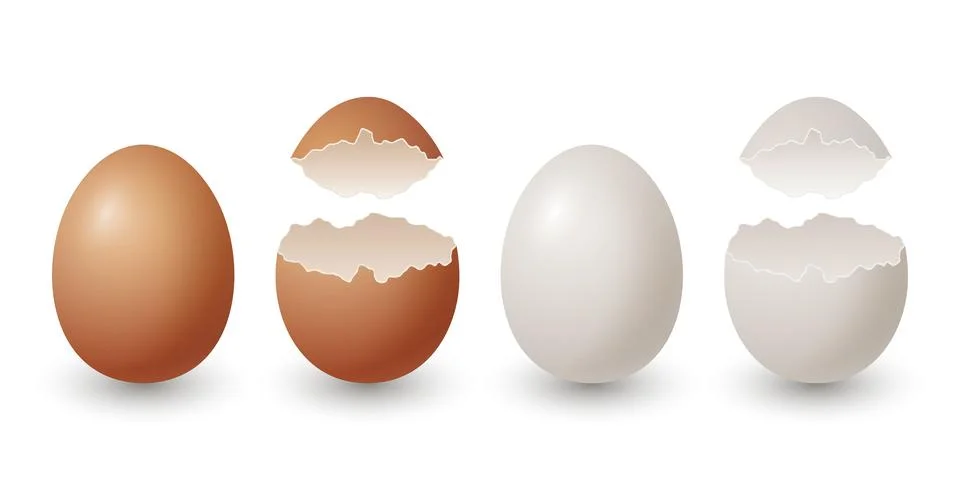 Vector 3d Realistic Brown and White Chicken Eggs. Broken Chicken Egg, Cracked Stock Illustration