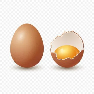 Vector 3d Realistic Brown Chicken Eggs. Textured Broken Chicken Egg, Two Parts Stock Illustration