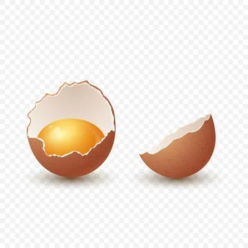 Vector 3d Realistic Brown Chicken Eggs. Textured Broken Chicken Egg, Two Parts Stock Illustration