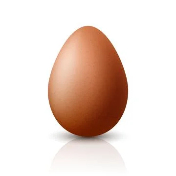 Vector 3d Realistic Brown Chicken Egg Closeup. Textured Chicken Egg Icon Stock Illustration