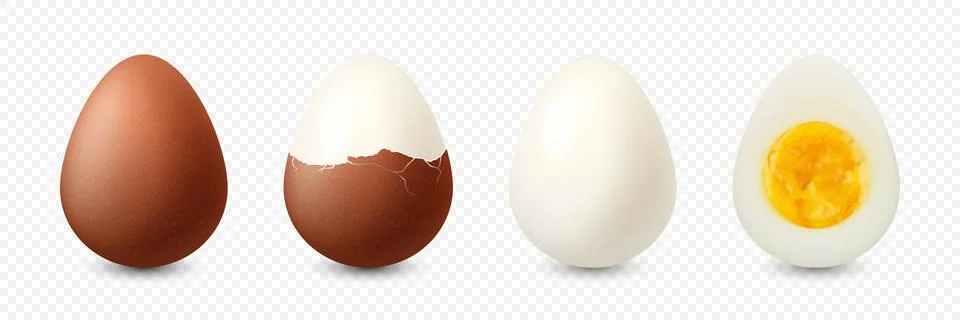 Vector 3d Realistic Brown Chicken Eggs. Textured Whole, Cracked Broken, Peeled Stock Illustration