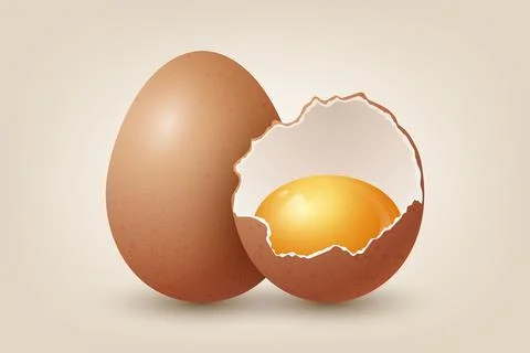 Vector 3d Realistic Brown Chicken Eggs. Textured Broken Chicken Egg, Two Parts Stock Illustration