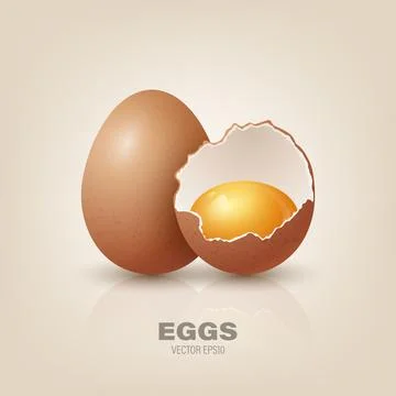 Vector 3d Realistic Brown Chicken Eggs. Textured Broken Chicken Egg, Two Parts Stock Illustration