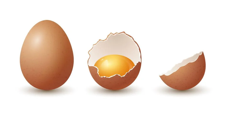 Vector 3d Realistic Brown Chicken Eggs. Textured Whole and Broken Cracked Illustrazione stock