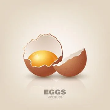 Vector 3d Realistic Brown Chicken Eggs. Textured Broken Chicken Egg, Cracked Two Stock Illustration