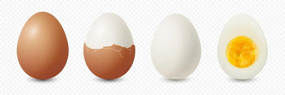 Vector 3d Realistic Brown Chicken Eggs. Textured Whole, Cracked Broken, Peeled Stock Illustration