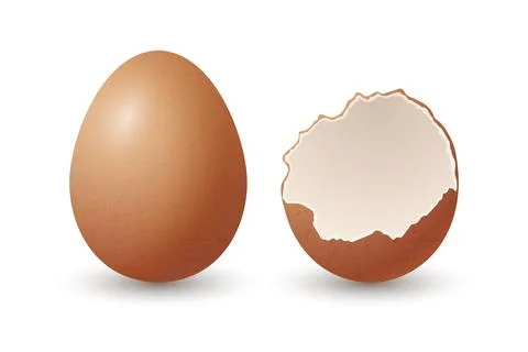 Vector 3d Realistic Brown Chicken Eggs. Broken Chicken Egg, Cracked Two Parts Stock Illustration