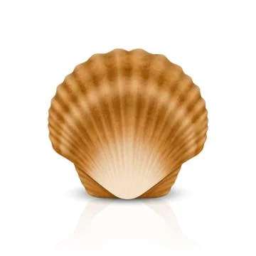 Vector 3d Realistic Brown Closed Scallop Pearl Seashell Icon Closeup Isolated on Illustrazione stock