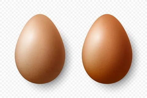 Vector 3d Realistic Brown Textured Chicken Eggs Closeup Isolated. Chicken Egg Stock Illustration