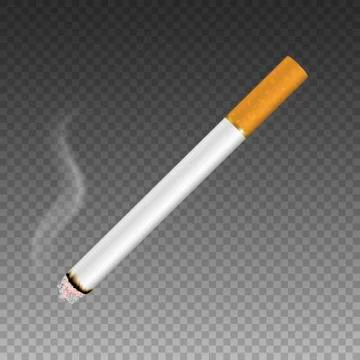 Vector 3d Realistic Clear Blank Whole Lit Cigarette with Smoke Icon Closeup Ilustración de archivo