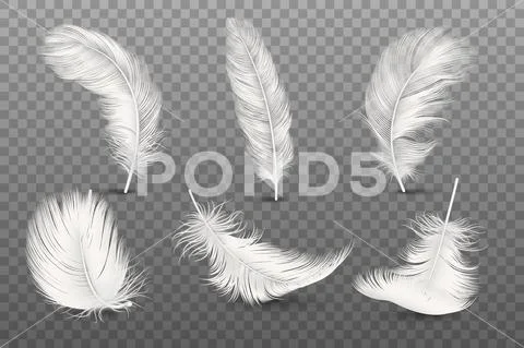 Vector 3d Realistic Different Falling White Fluffy Twirled Feather Set Closeup Stock Illustration