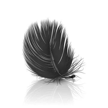 Vector 3d Realistic Falling Black Fluffy Twirled Feather with Reflection Closeup Illustrazione stock