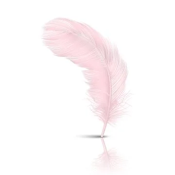 Vector 3d Realistic Falling Pink Flamingo Fluffy Twirled Feather with Reflection Illustrazione stock