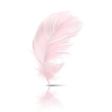 Vector 3d Realistic Falling Pink Flamingo Fluffy Twirled Feather with Reflection Stock Illustration