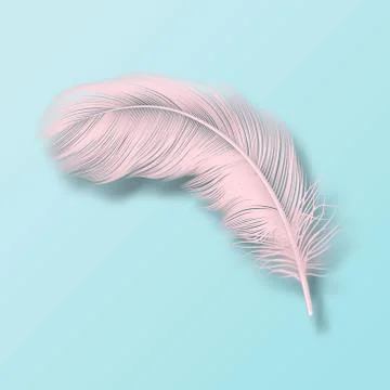 Vector 3d Realistic Falling Pink Fluffy Twirled Flamingo Feather Icon Closeup Stock Illustration