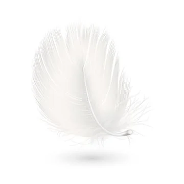 Vector 3d Realistic Falling White Fluffy Twirled Feather Icon Closeup Isolated Stock Illustration