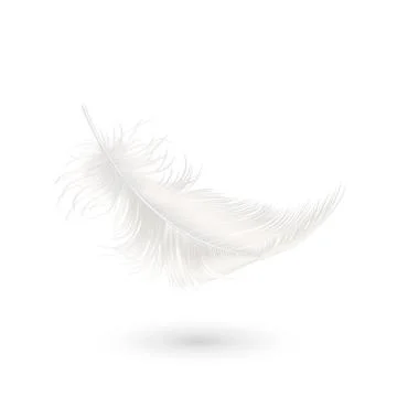 Vector 3d Realistic Falling White Fluffy Twirled Feather Icon Closeup Isolated 스톡 일러스트