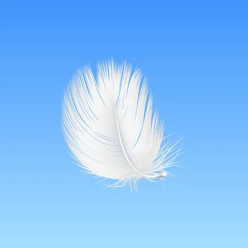 Vector 3d Realistic Falling White Fluffy Twirled Feather Closeup on Blue Sky Stock Illustration