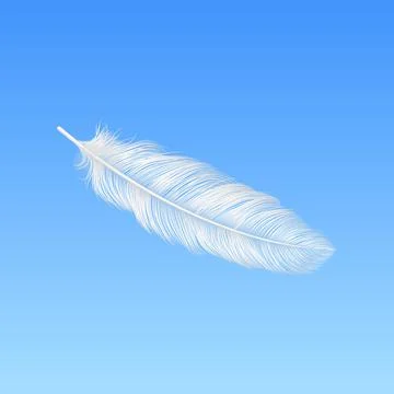 Vector 3d Realistic Falling White Fluffy Feather Closeup on Blue Sky Background Stock Illustration