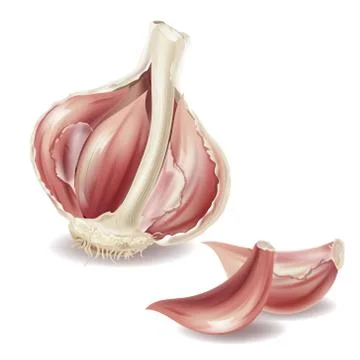 Vector 3d realistic garlic set - slice, lobule Stock Illustration