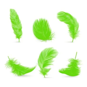 Vector 3d Realistic Green Fluffy Feather Set Isolated on White Background Stock Illustration