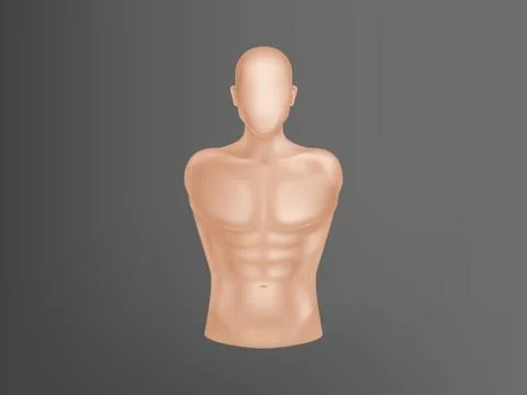 Vector 3d realistic human body, man torso Illustrazione stock