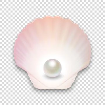 Vector 3d Realistic Natural Open Half Shell with Pearl Close up Isolated on Stock Illustration