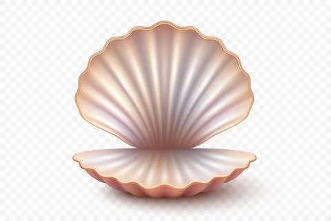 Vector 3d Realistic Open Seashell with Pearlescent Shine. Isolated Seashell Stock Illustration