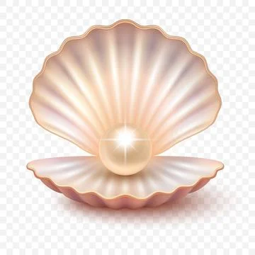 Vector 3d Realistic Pearl Shell, Isolated. Shiny Natural Pearl in Seashell Illustrazione stock