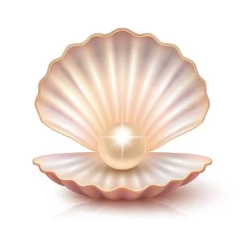 Vector 3d Realistic Pearl Shell, Isolated. Shiny Natural Pearl in Seashell Stock Illustration