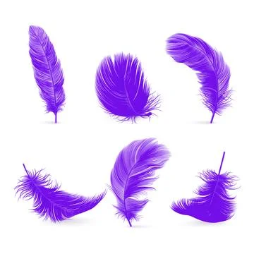 Vector 3d Realistic Purple Fluffy Feather Set Isolated on White Background イラスト素材