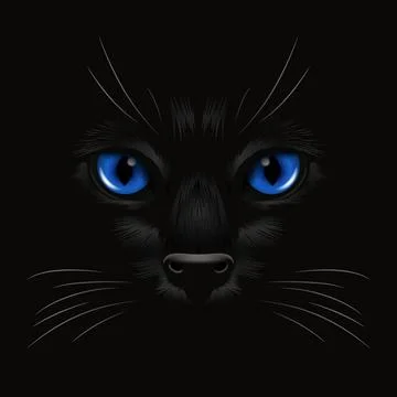 Vector 3d Realistic Red Cats Eye of a Black Cat in the Dark, at Night. Red, Cat Stock Illustration